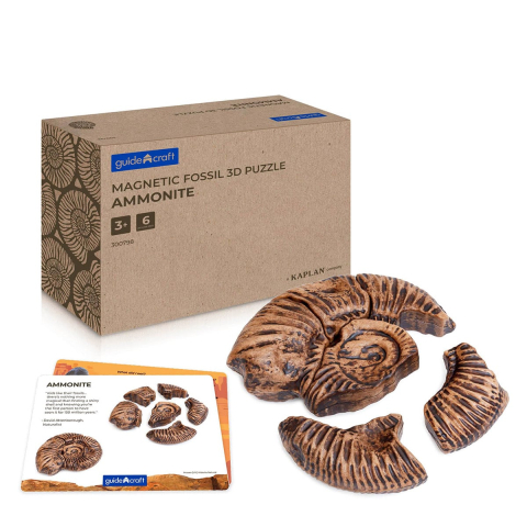 Jucării și Jocuri pentru copii - Fosile Ammonite, set magnetic 3D, Guidecraft, copii varsta 5+ ani