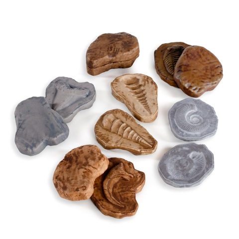 Fosile magnetice, set 6 perechi, Guidecraft, 2-7 ani [3]
