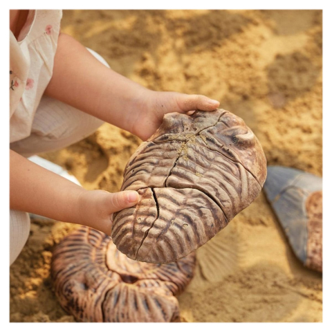 Fosile Trilobit, set magnetic 3D, Guidecraft, copii varsta 5+ ani [1]