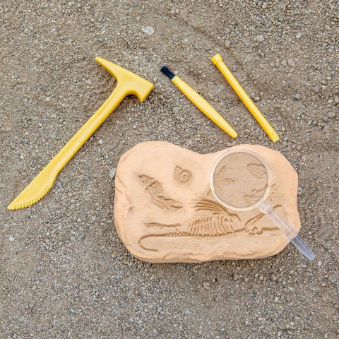 GeoSafari - Kit excavare fosile [4]