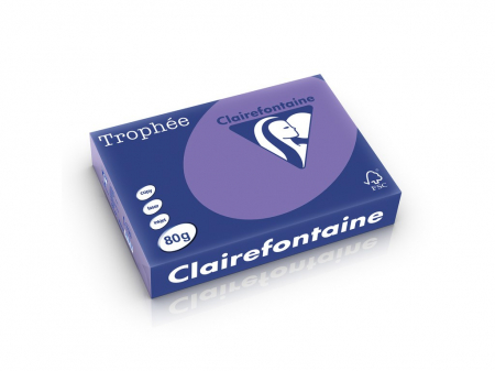 Rechizite Școlare - Hartie color Clairefontaine Intens