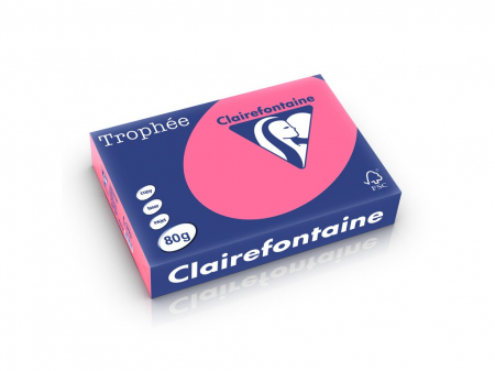 Rechizite Școlare - Hartie color Clairefontaine Intens