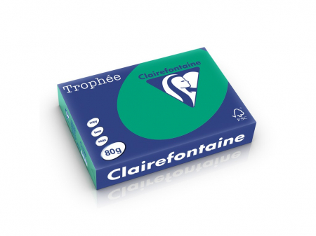 Rechizite Școlare - Hartie color Clairefontaine Intens