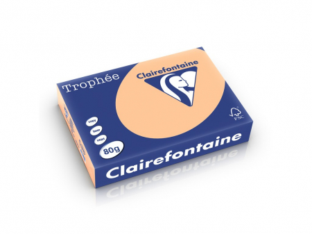 Rechizite Școlare - Hartie color Clairefontaine Pastel