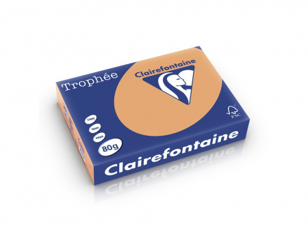 Rechizite Școlare - Hartie color Clairefontaine Pastel