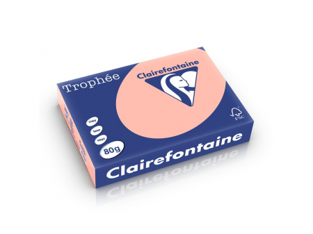 Rechizite Școlare - Hartie color Clairefontaine Pastel