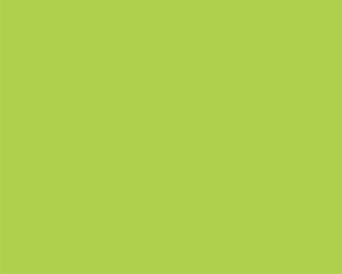 Hartie copiator a4 verde lime intens 80g 500/top lg46 niveus [1]