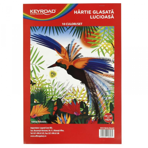 Rechizite Școlare - Hartie Glasata (glace) Lucioasa, 10 coli / set - Micostore.ro