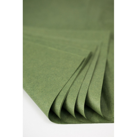 Hartie matase Colorarte, 66x50cm, verde fistic, set 100 coli [1]