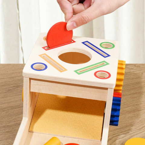 Joc Educativ Cutia Permanenta Montessori 4 in 1 | Sortare si Motricitate Lemn [4]