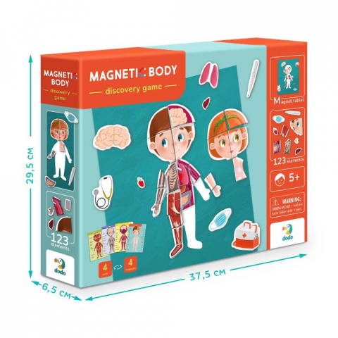 Joc magnetic - Descopera corpul uman [3]