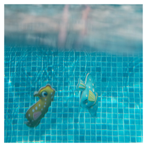 Joc pentru scufundari, animale subacvatice, copii varsta 6+ ani [2]