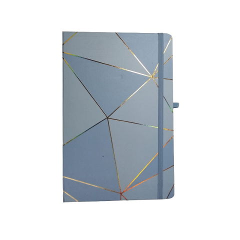 Jurnal A5 CNX Dungi si Forme 3783-1L, 160 pagini, coperta carton, cu elastic [2]
