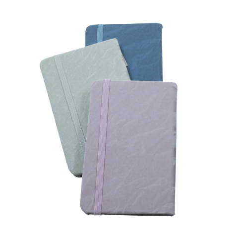 Jurnal A6 CNX 5802-10, uni, cu elastic [2]