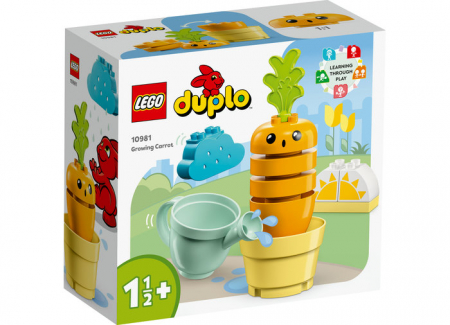 Kit de cultivare al morcovului, varsta de la 2 ani la 4 ani [1]