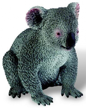 Jucării și Jocuri pentru copii - Koala Deluxe