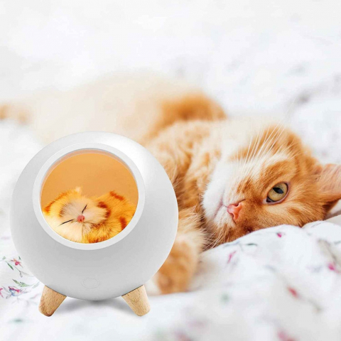 Lampă de noapte pentru copii, reincarcabilă, Pisică [6]