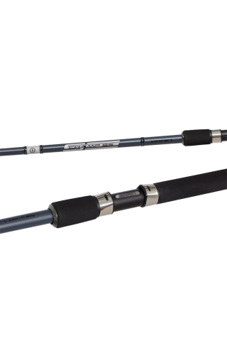 Lanseta Brain Champ SE 3.6m 150g Champ SE 3.6m 150g [1]