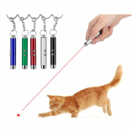 Casă, gradină și bricolaj - Jucarii, Lasere pentru Pisici, Pointer 3 in 1 - Micostore.ro