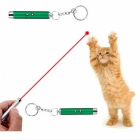 Jucarii, Lasere pentru Pisici, Pointer 3 in 1 - Micostore.ro [1]