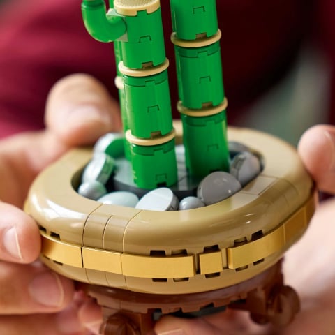Lego botanicals bambus norocos 10344, varsta de la 14 ani la +15 ani [5]