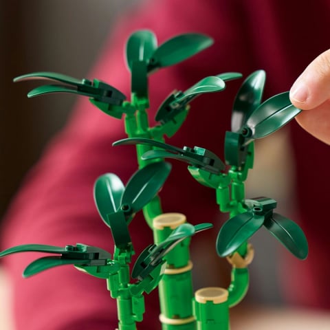 Lego botanicals bambus norocos 10344, varsta de la 14 ani la +15 ani [6]