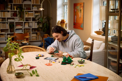 Lego botanicals ciuperci de padure 11505 varsta 14 ani -+15 ani [4]
