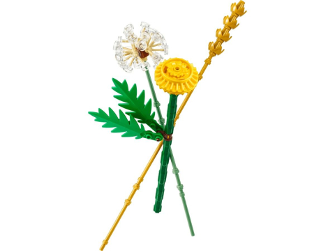 Lego botanicals flori de camp 30701 copii varsta 9 ani - +15 ani [1]