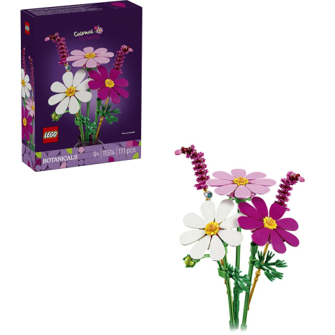 Lego botanicals fluturasi 11514 varsta 9 ani -+15 ani [1]
