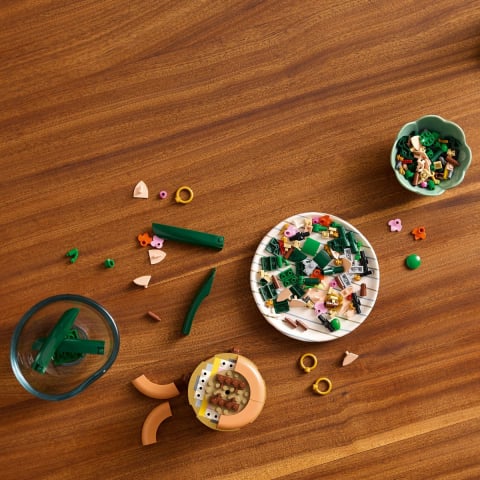 Lego botanicals mini orhidee 10343, varsta de la 14 ani la +15 ani [3]