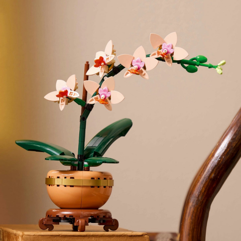 Lego botanicals mini orhidee 10343, varsta de la 14 ani la +15 ani [1]