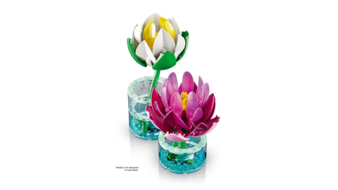 Lego botanicals nuferi 11511 varsta 9 ani -+15 ani [7]