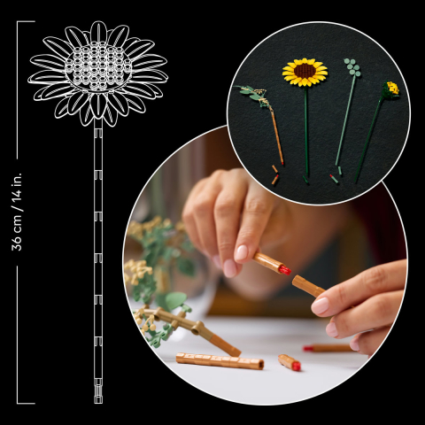  LEGO Colectia Botanica  Buchet de floarea soarelui varsta  18 + ani [5]