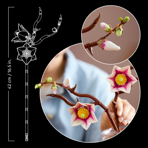  LEGO Colectia Botanica  Ramuri de magnolie varsta  18 + ani [5]