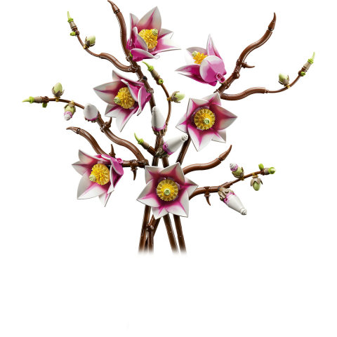  LEGO Colectia Botanica  Ramuri de magnolie varsta  18 + ani [9]