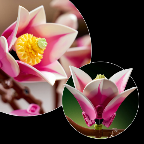  LEGO Colectia Botanica  Ramuri de magnolie varsta  18 + ani [6]