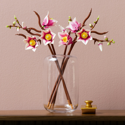  LEGO Colectia Botanica  Ramuri de magnolie varsta  18 + ani [8]