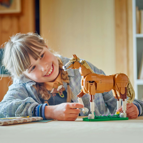  LEGO Creator  Cal frumos, copii varsta  9 + ani [3]
