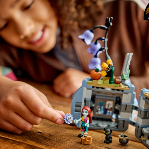  LEGO Disney  Ghiveciul lui Sally varsta  9 + ani [6]