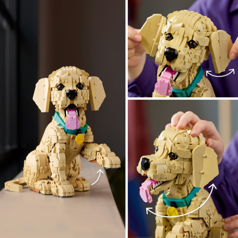LEGO Icons (Creator Expert)  Cățeluș Golden Retriever, copiii varsta  18 + ani [6]