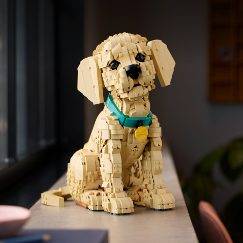 LEGO Icons (Creator Expert)  Cățeluș Golden Retriever, copiii varsta  18 + ani [4]
