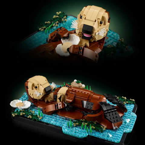  LEGO Ideas  Vidre plutind pe apă varsta  18 + ani [6]