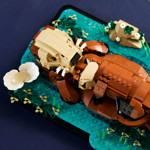  LEGO Ideas  Vidre plutind pe apă varsta  18 + ani [8]