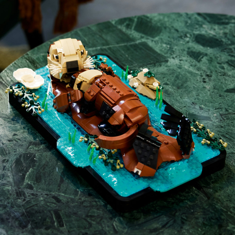  LEGO Ideas  Vidre plutind pe apă varsta  18 + ani [9]