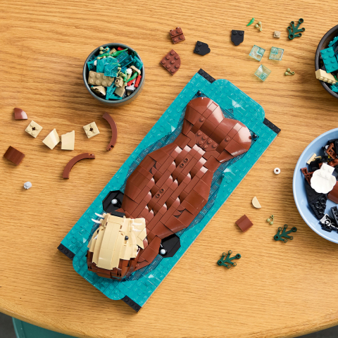  LEGO Ideas  Vidre plutind pe apă varsta  18 + ani [7]