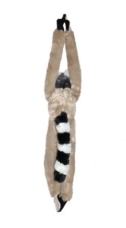 Maimuta care se agata Lemur [2]