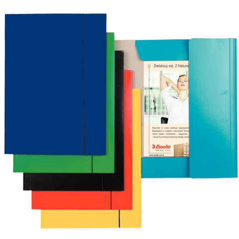 Mapa carton cu elastic albastru deschis economy esselte [1]