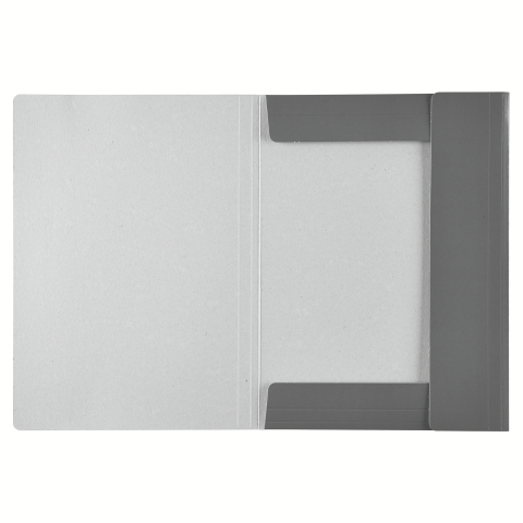 Mapa carton cu elastic negru economy esselte [3]