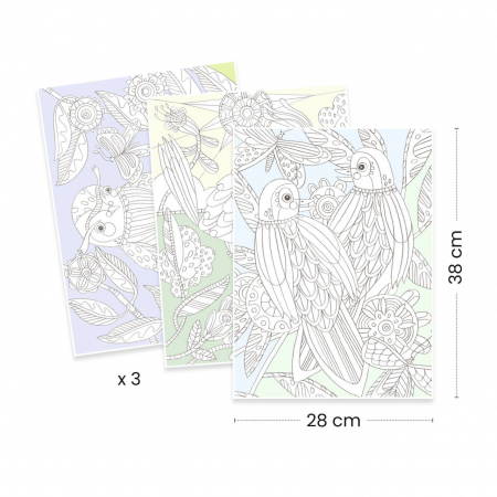 Mapa cu 3 postere de colorat Pasari, varsta 8 ani+, Djeco, varsta 6 - 9, 9+ ani, Adult, Fata [2]