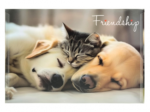 Mapă personalizată cu buton A4 PP Panta Plast [1]